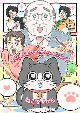 《转生成猫的大叔》：‘青春成长’还是‘电影’？这‘猫’生也太‘卷’了吧！