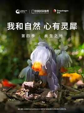 《我和自然 心有灵犀》第四季：共生之地的奇妙物语，让你惊呼生命的精妙！