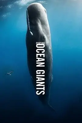 《追踪海洋巨兽》：探索蔚蓝深海的秘密，震撼视听的海洋生物纪录片