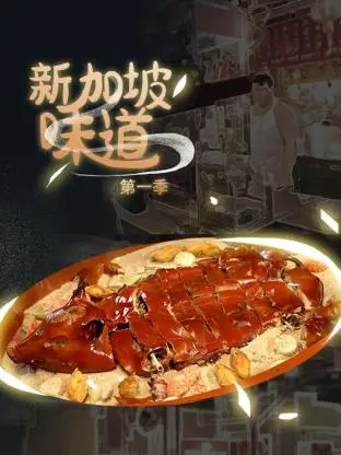 《新加坡味道》：舌尖上的东南亚风情，这美食之旅让人垂涎三尺！